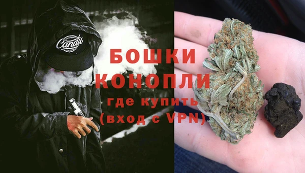 кокс Белокуриха